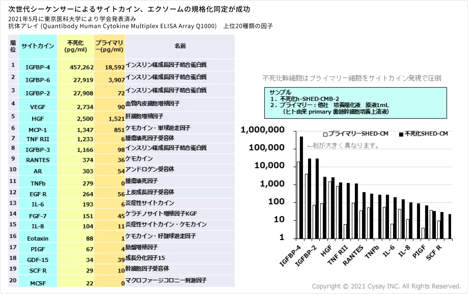 図1：Cysay因子TM（不死化乳歯歯髄幹細胞培養上清）