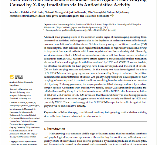 弊社技術に関する論文がAntioxidants (MDPI)に掲載されました。 