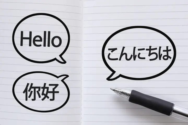 English and Simplified Chinese Versions of Our Website Are Now Available